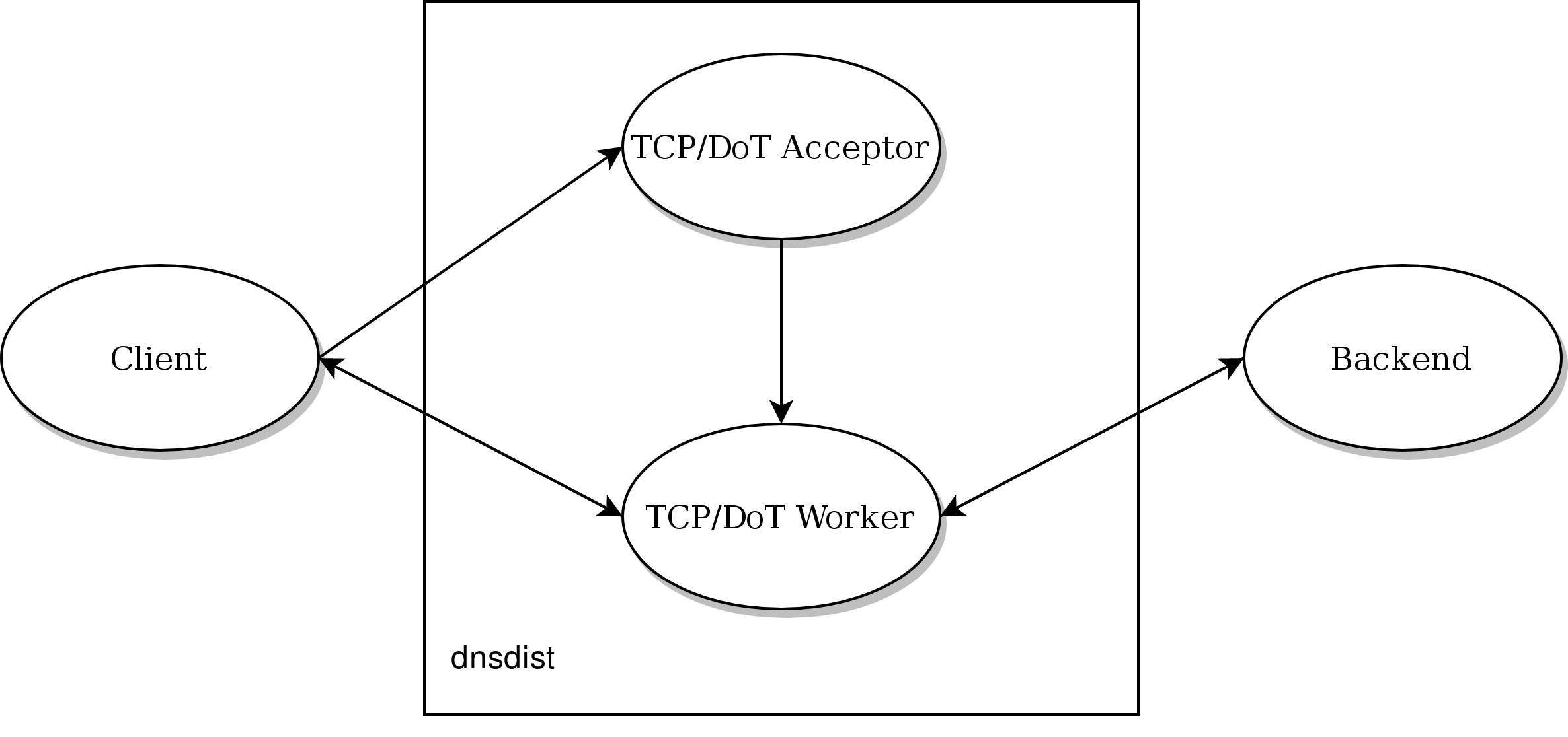 DNSDist TCP and DoT design