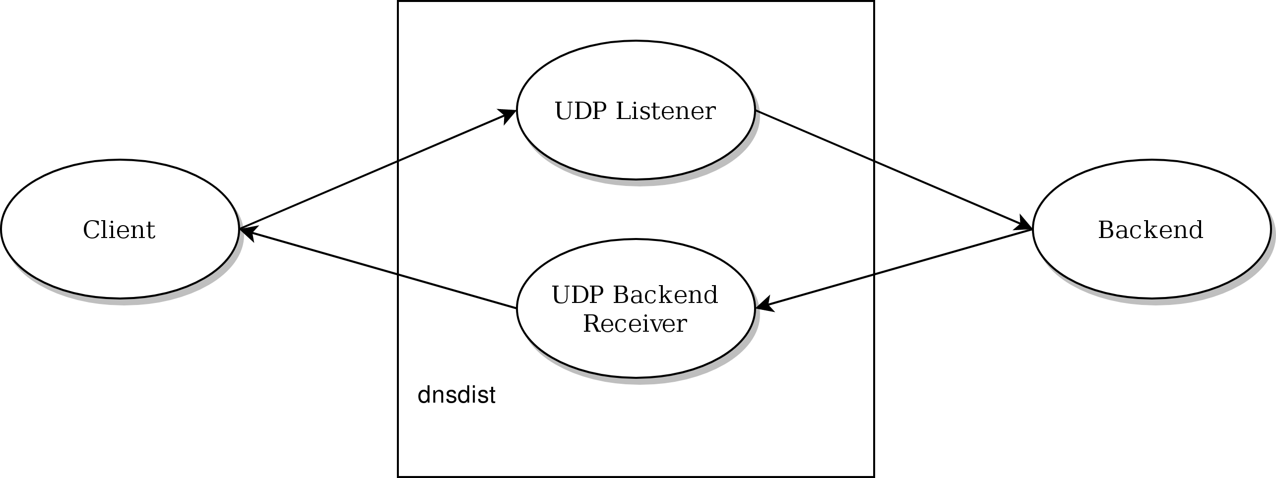 DNSDist UDP design